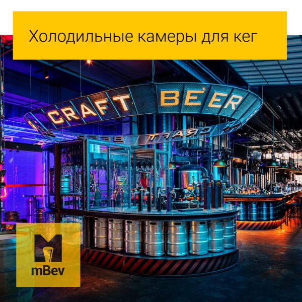 3675962504_kegerator-holodilna-kamera